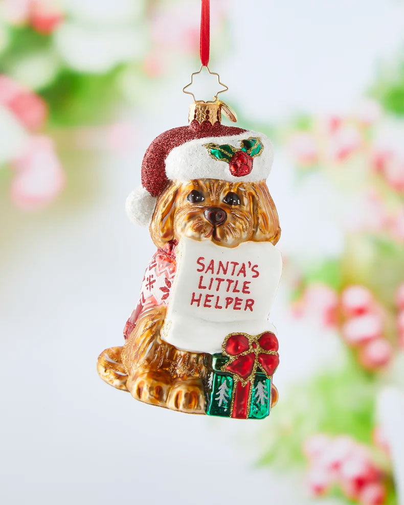 Christopher Radko Festive Furry Friend Christmas Ornament