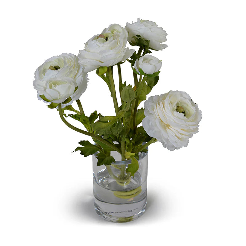Ranunculus in 4" Glass Cylinder