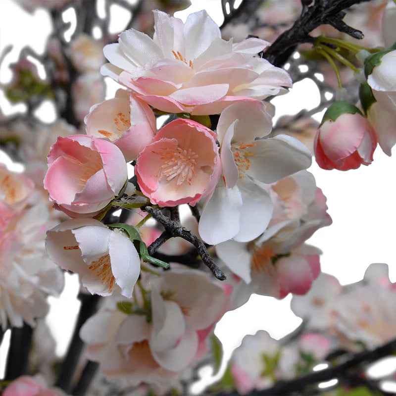 Cherry Branches Arrangement in Glass - Light pink