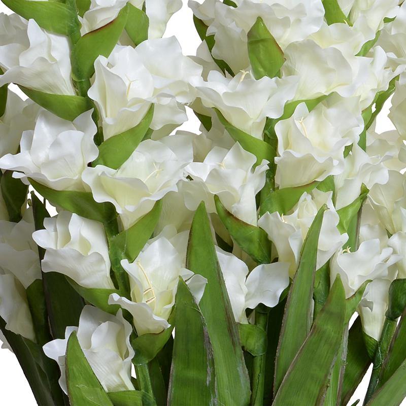 Gladiolus Arrangement in Glass