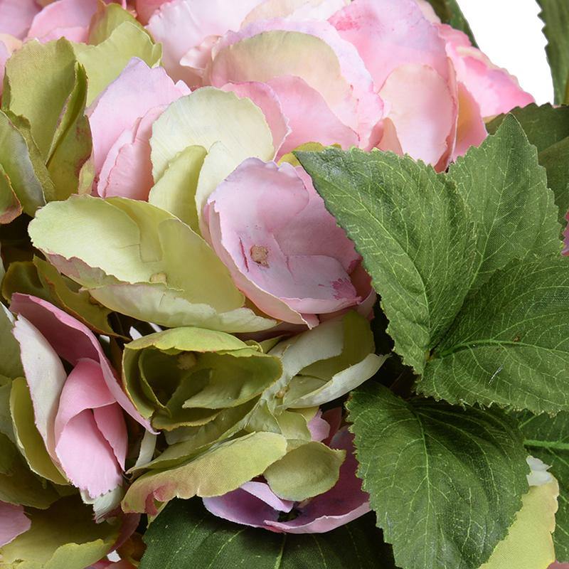 Hydrangea Cutting 10"H