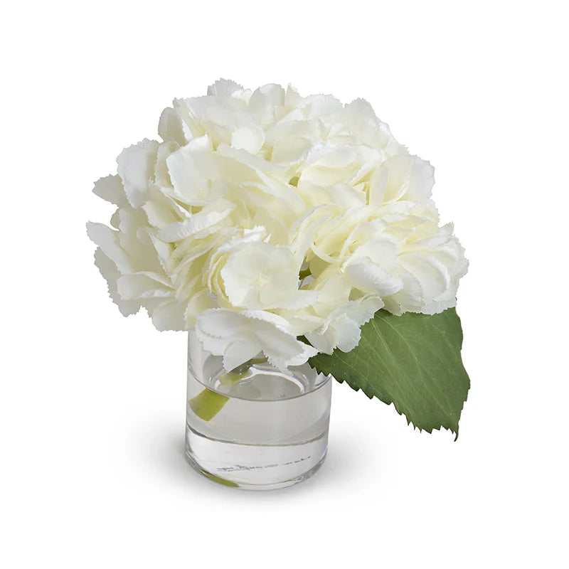 Hydrangea Cutting 8"H