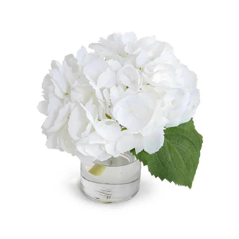 Hydrangea Cutting 8"H
