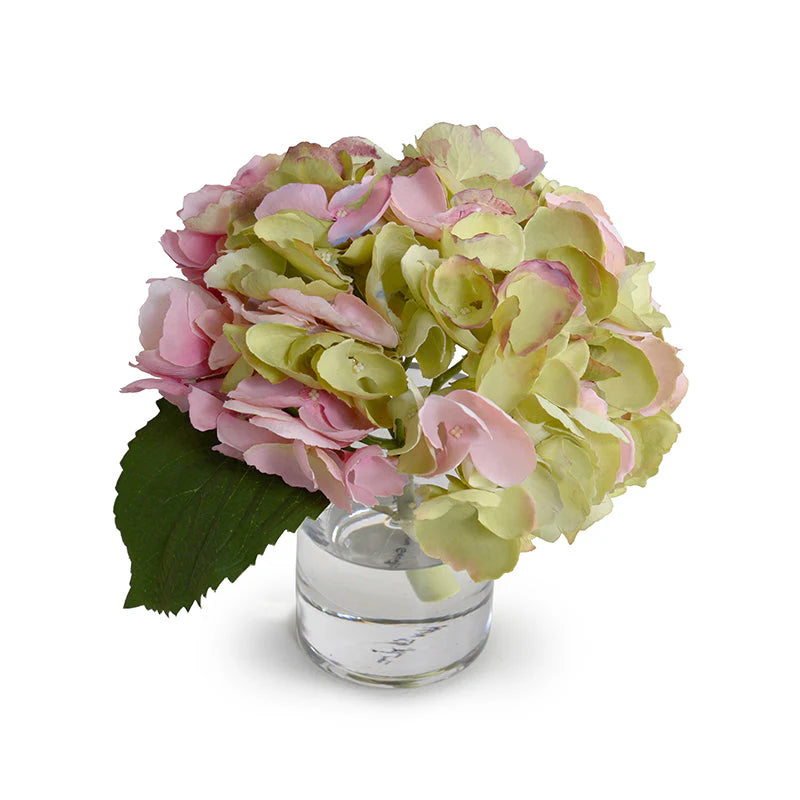 Hydrangea Cutting 8"H