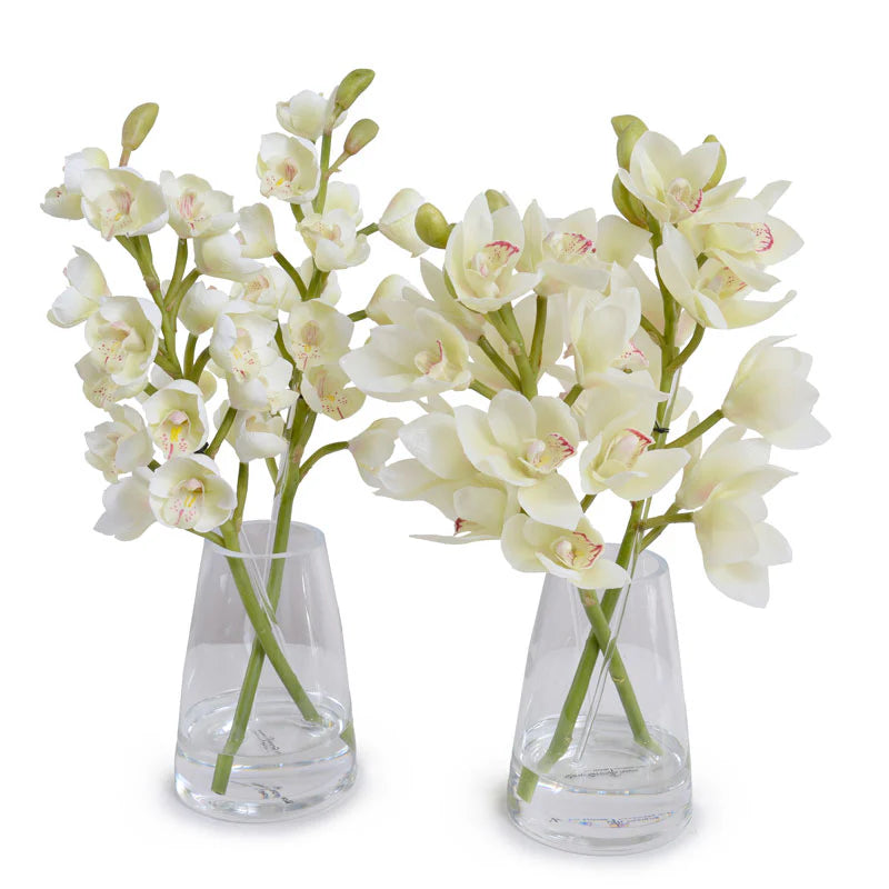 Cymbidium Orchid in Glass, White