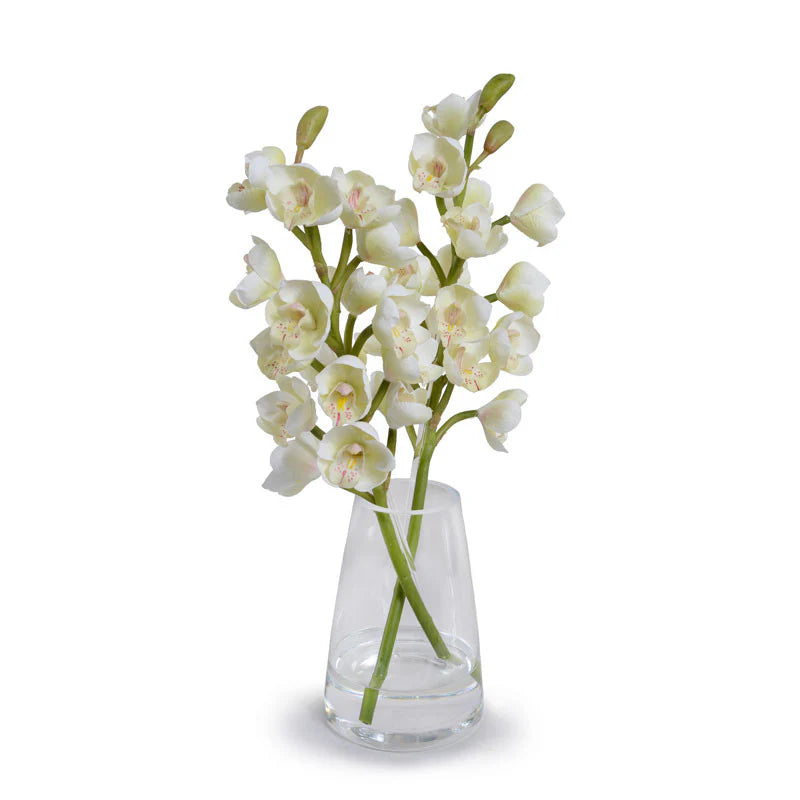 Cymbidium Orchid in Glass, White