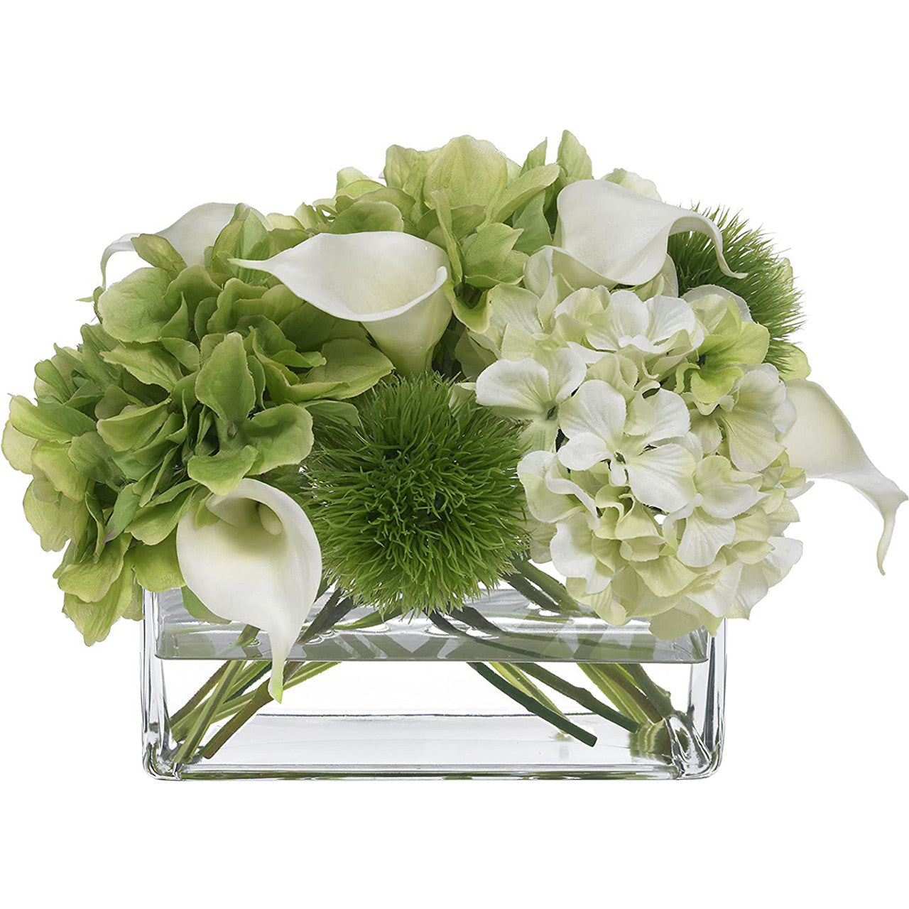Diane James Blooms Iconic