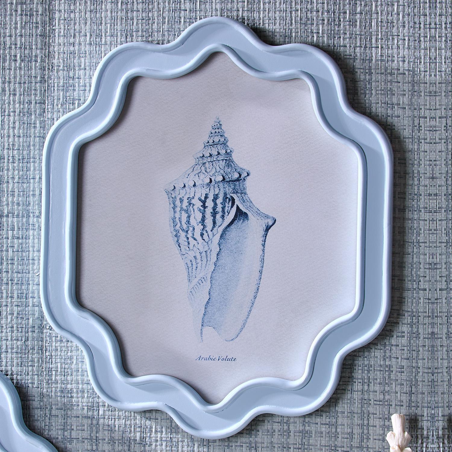 Sea Shell Wall Art, Set of 6 Asst