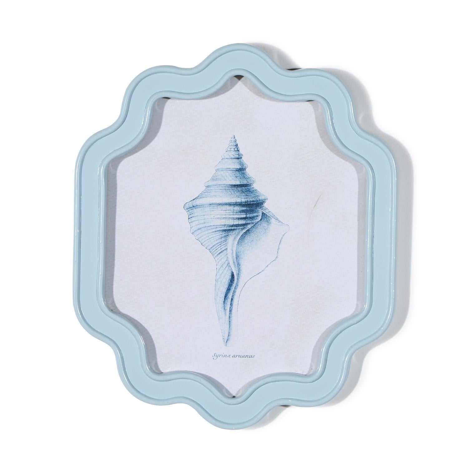 Sea Shell Wall Art, Set of 6 Asst