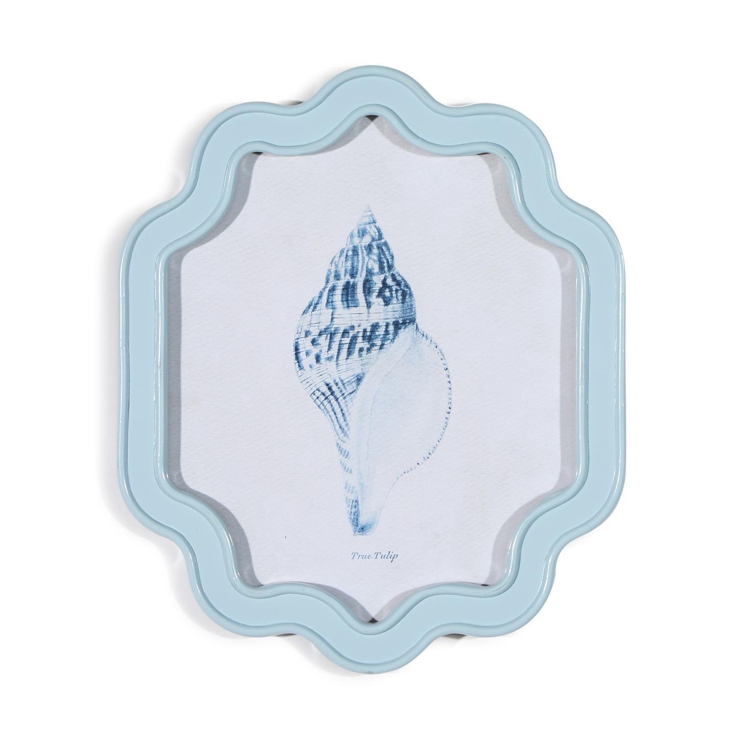 Sea Shell Wall Art, Set of 6 Asst