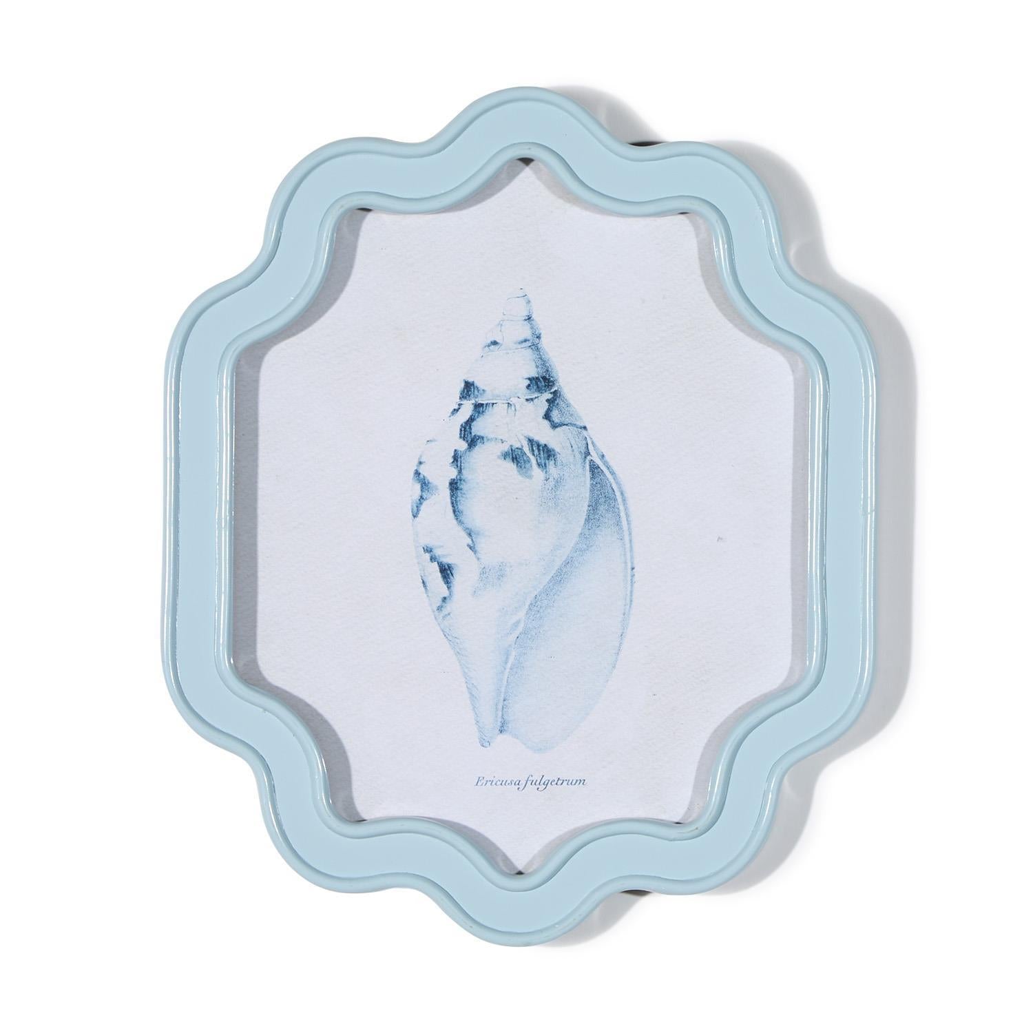 Sea Shell Wall Art, Set of 6 Asst
