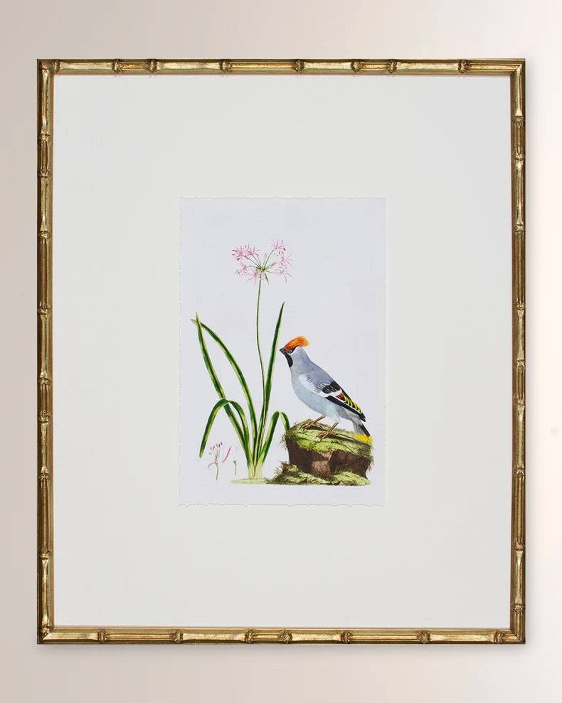 Bird Habitat II Framed Giclee Print