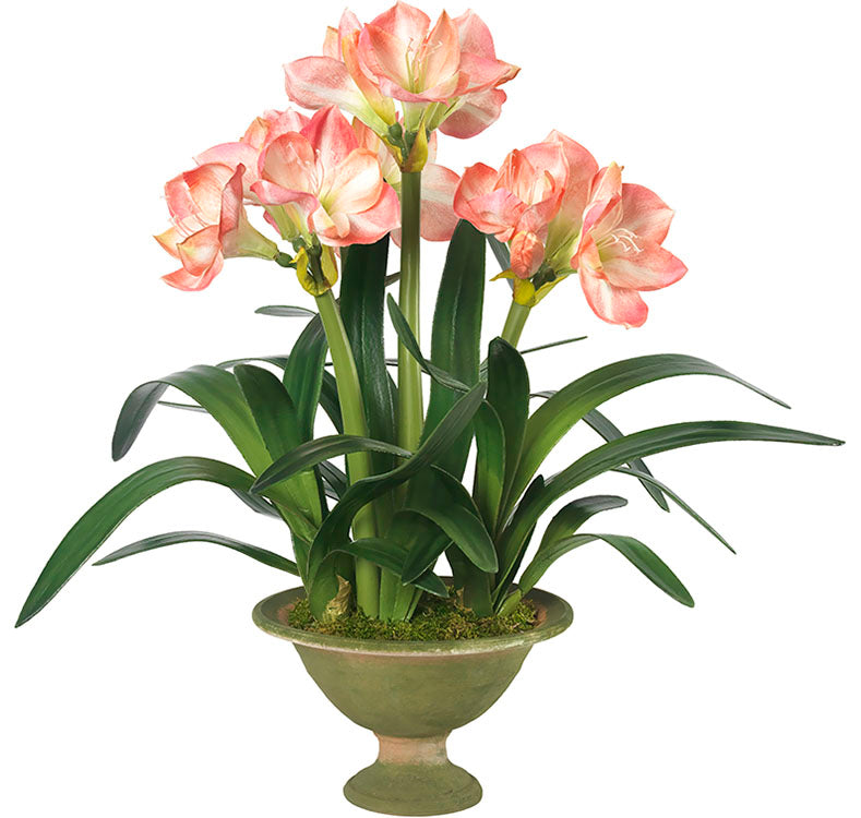 Diane James Candy Striper