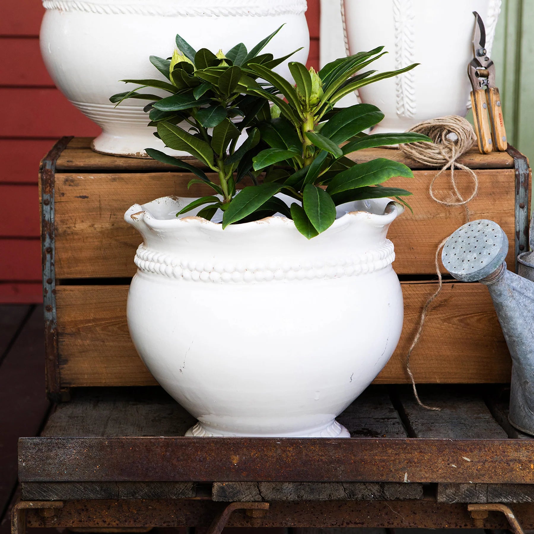 Vietri Rustic Garden Linen Dotted Round Planter