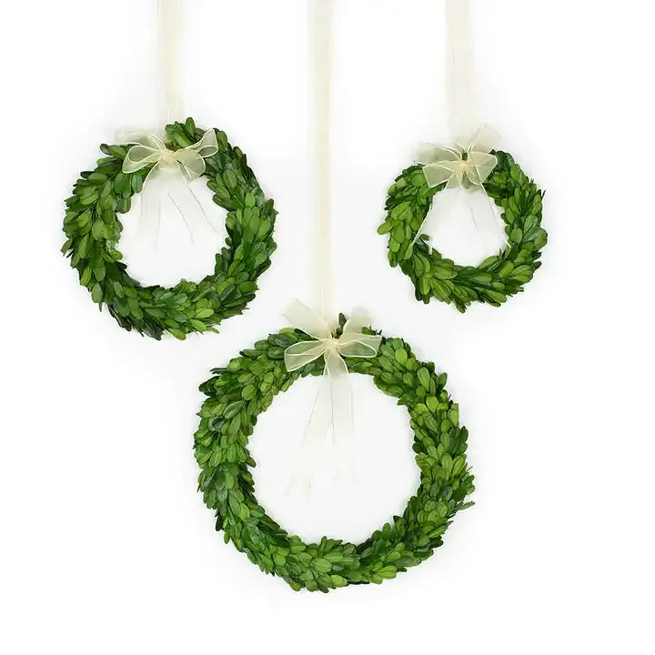 Preserved Boxwood Wreath with Ribbon, Set of 3 Asst