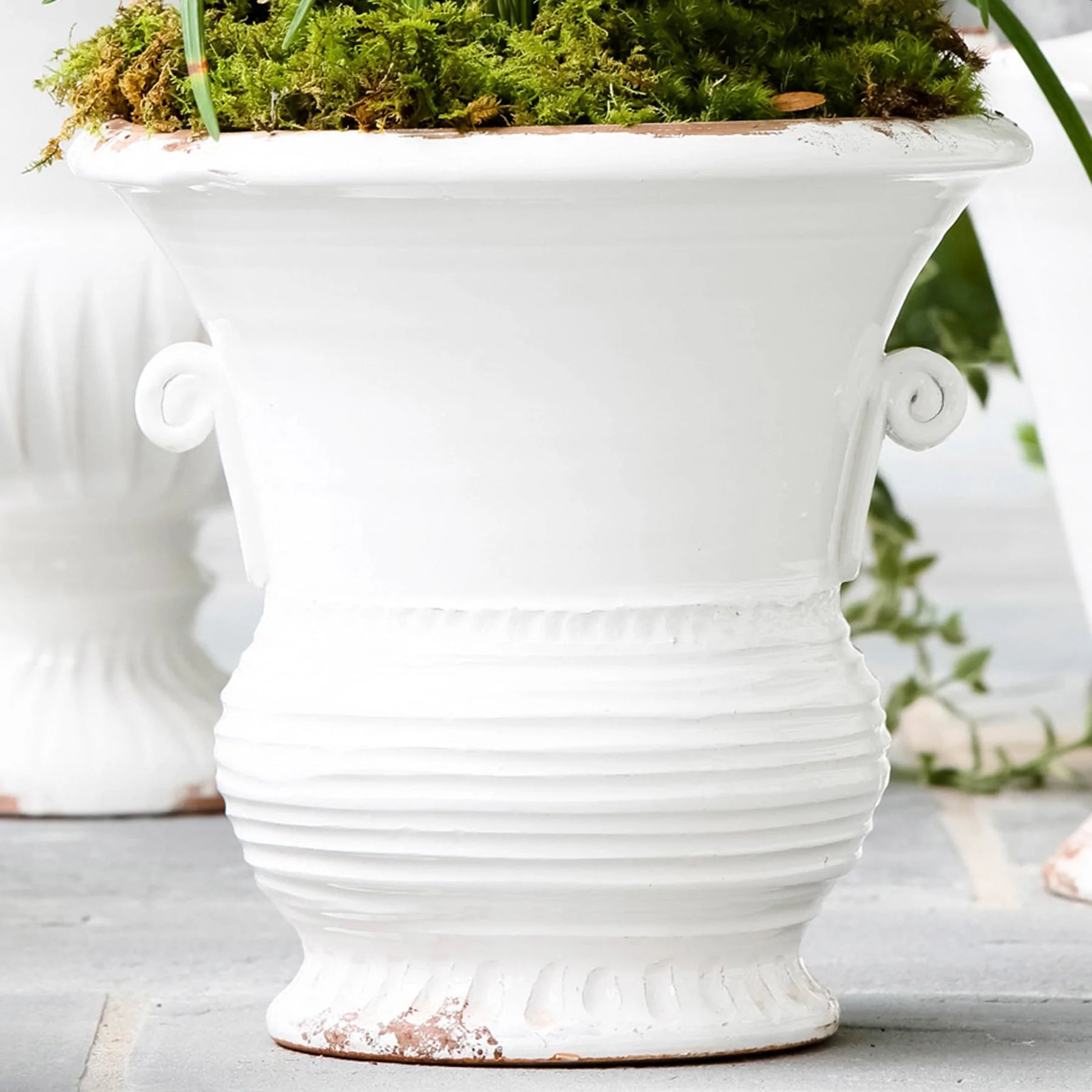 Vietri Rustic Garden White Med Flair Planter