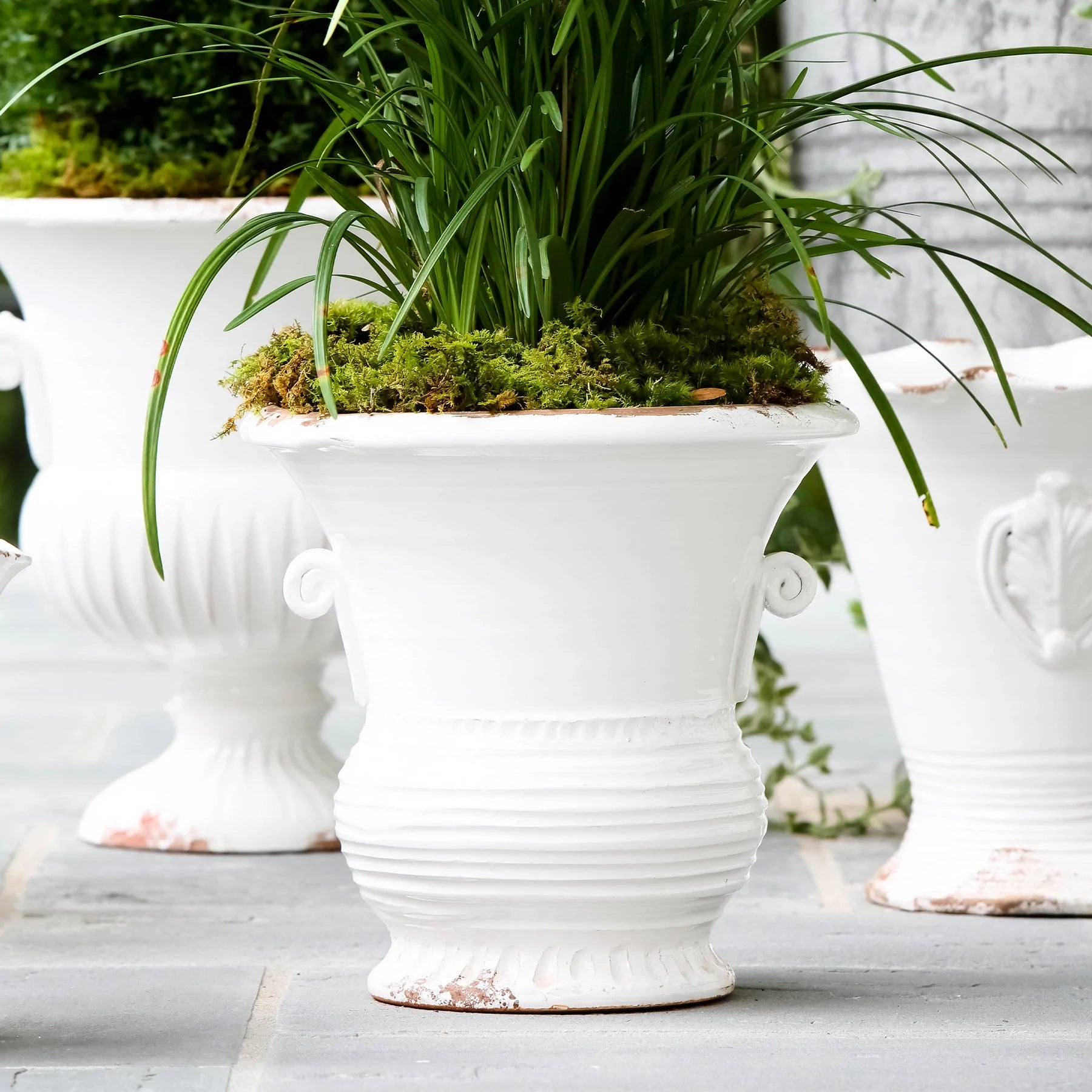 Vietri Rustic Garden White Med Flair Planter