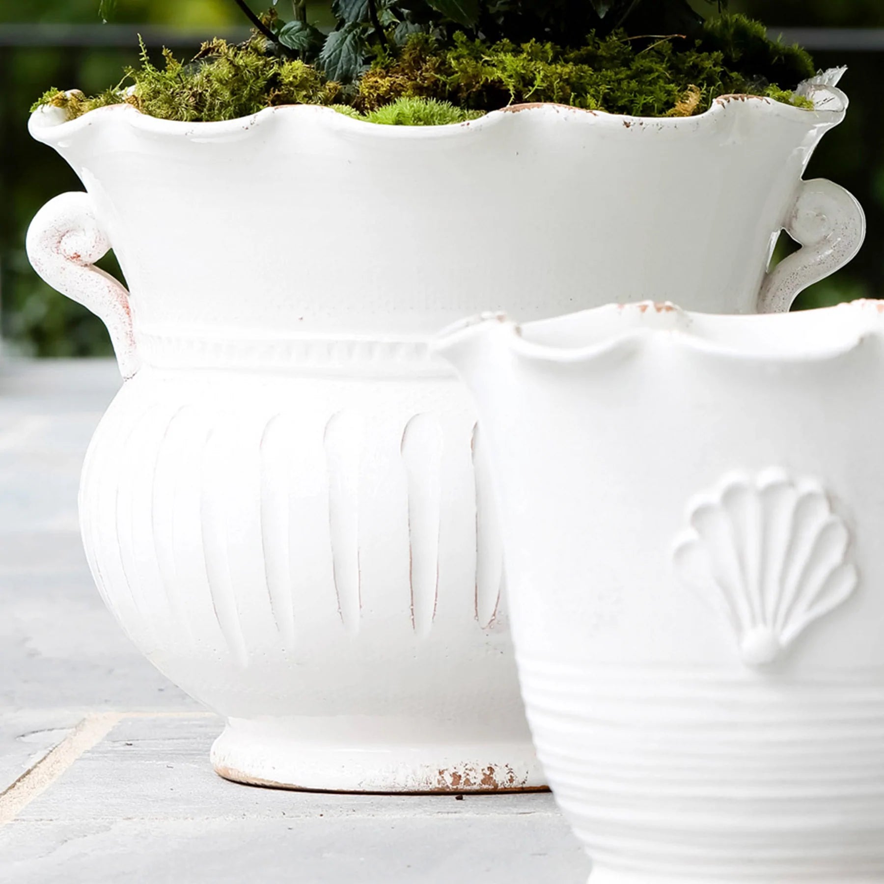 Vietri Rustic Garden White Large Scallop Planter