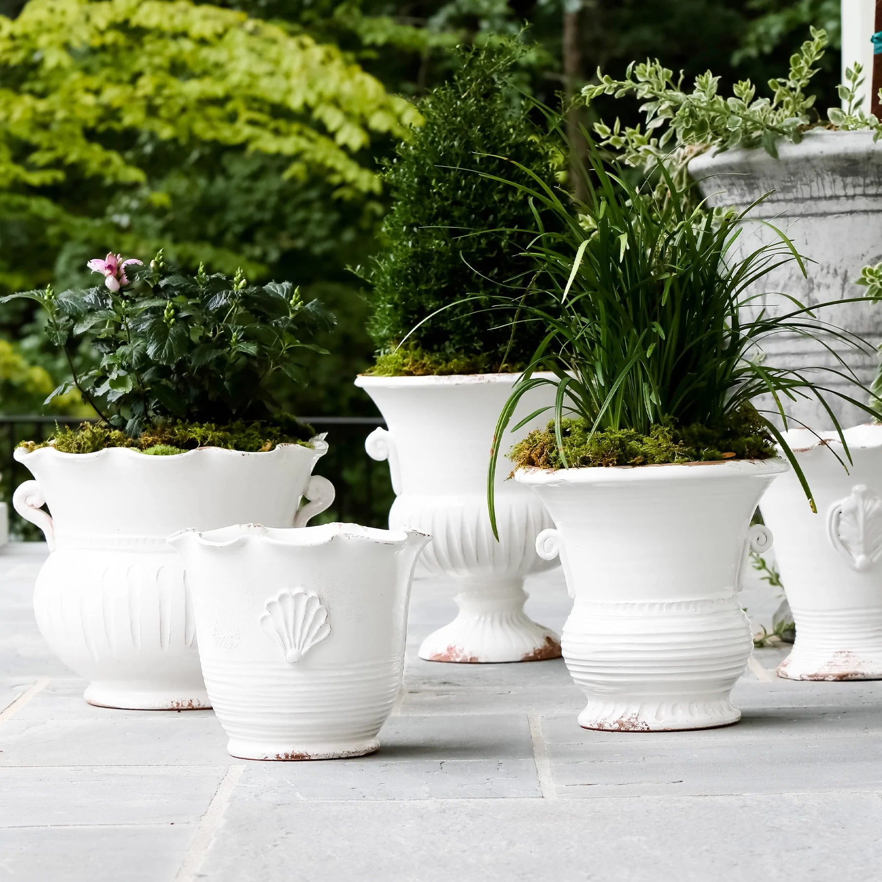 Vietri Rustic Garden White Large Scallop Planter