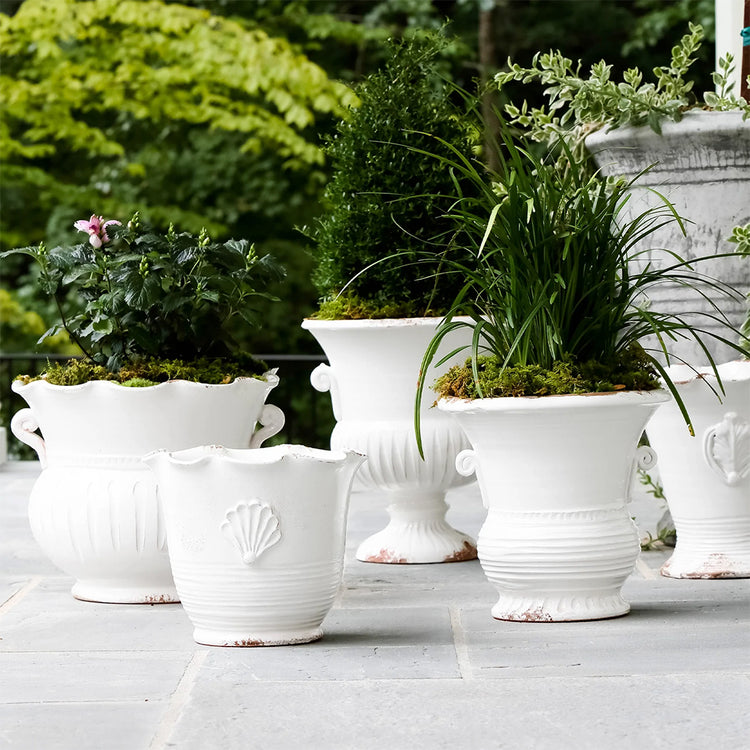 Vietri Home & Garden
