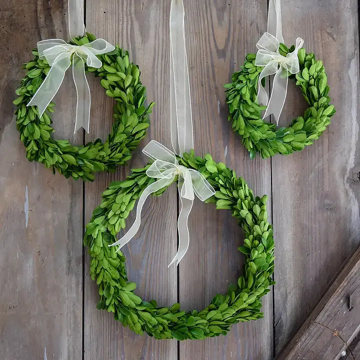Preserved Boxwood Wreath with Ribbon, Set of 3 Asst