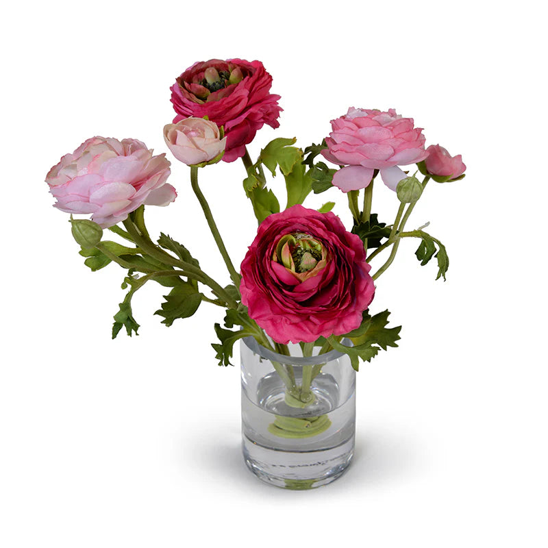 Ranunculus in 4" Glass Cylinder
