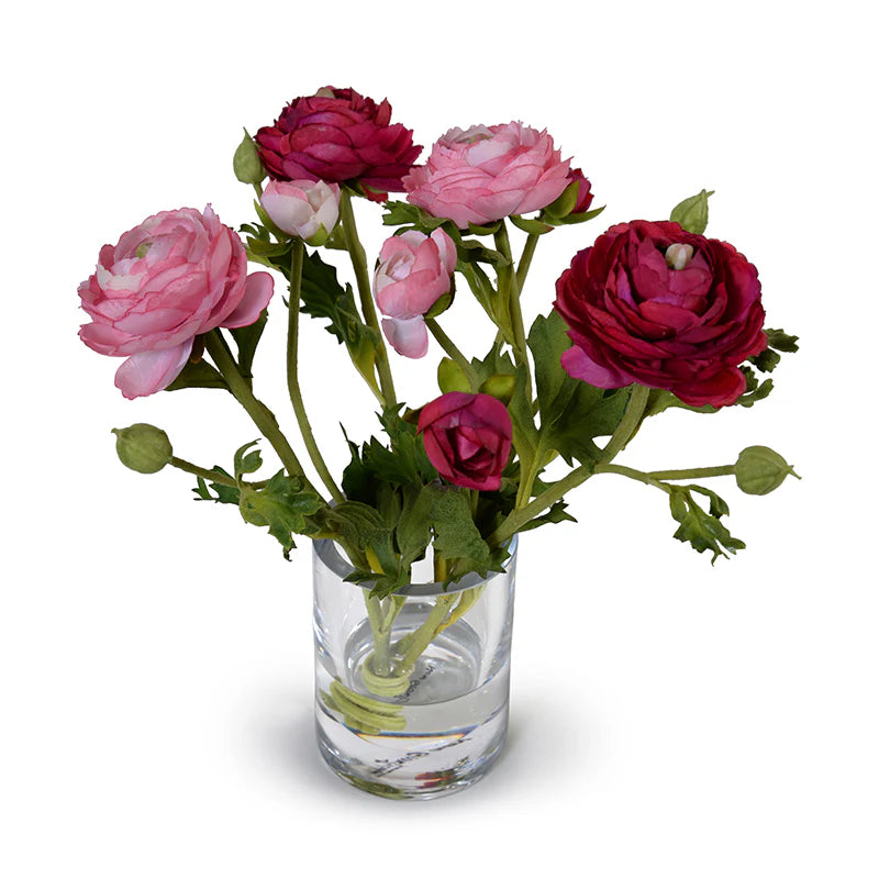 Ranunculus in 4" Glass Cylinder