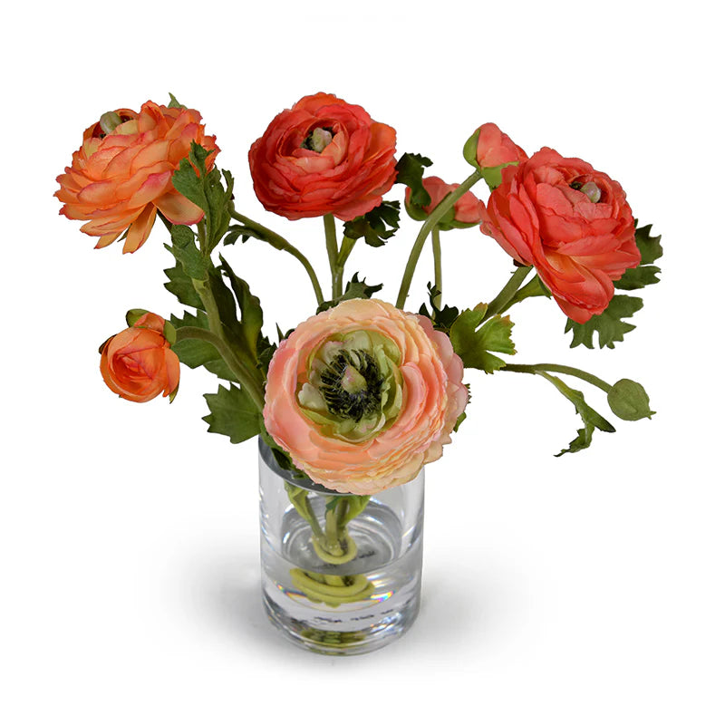 Ranunculus in 4" Glass Cylinder