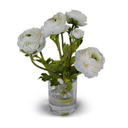 Ranunculus in 4" Glass Cylinder
