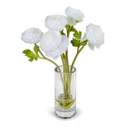 Ranunculus in 7" Glass Cylinder