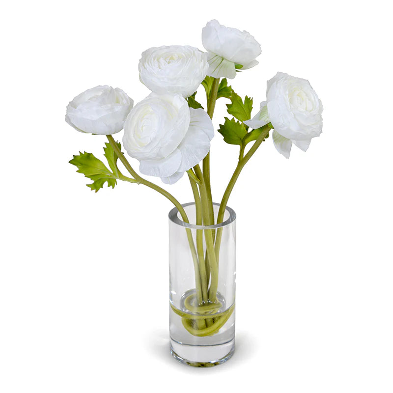 Ranunculus in 7" Glass Cylinder