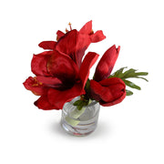 Red Amaryllis Cutting, 9"H