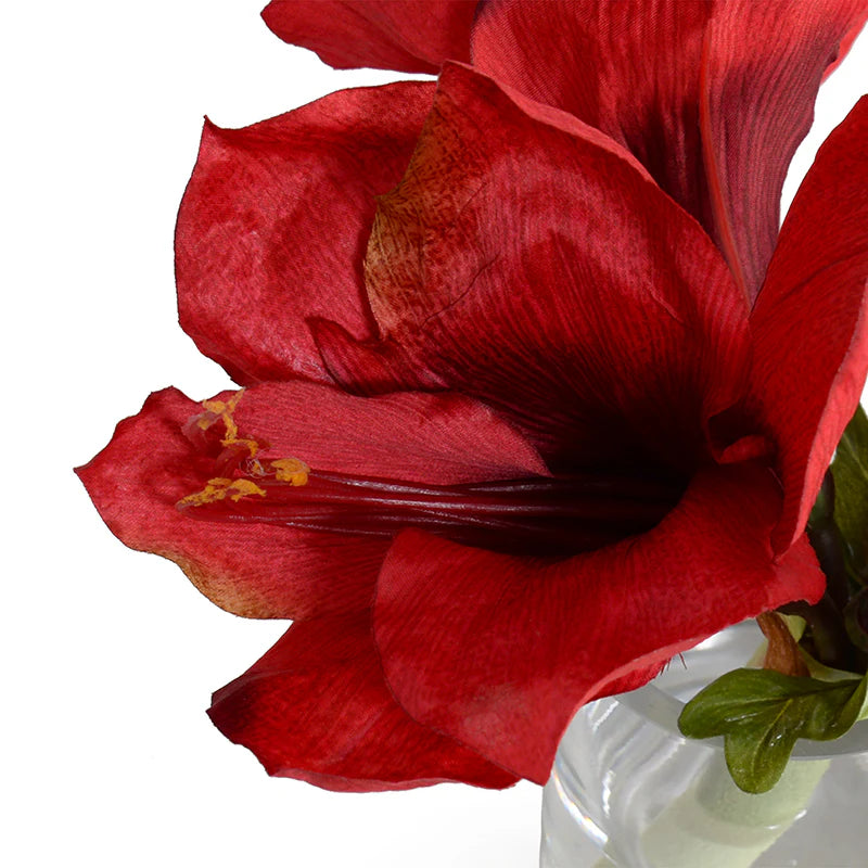 Red Amaryllis Cutting, 9"H