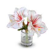 Red & White Amaryllis Cutting, 9"H