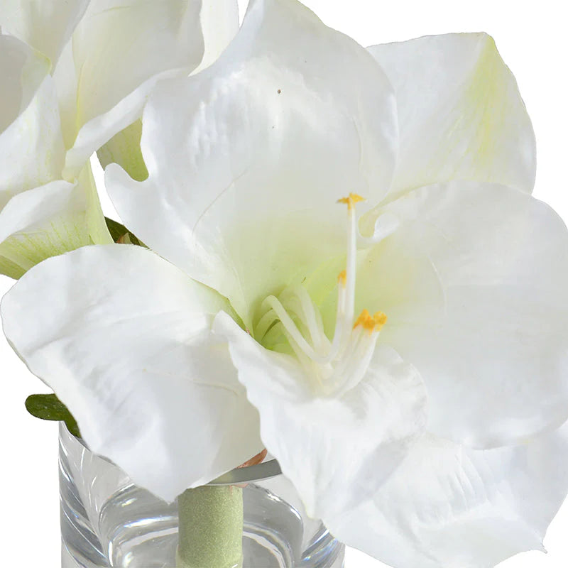 White Amaryllis Cutting, 9"H