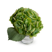 Hydrangea Cutting 8"H