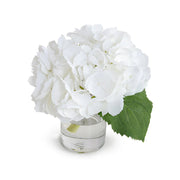 Hydrangea Cutting 8"H
