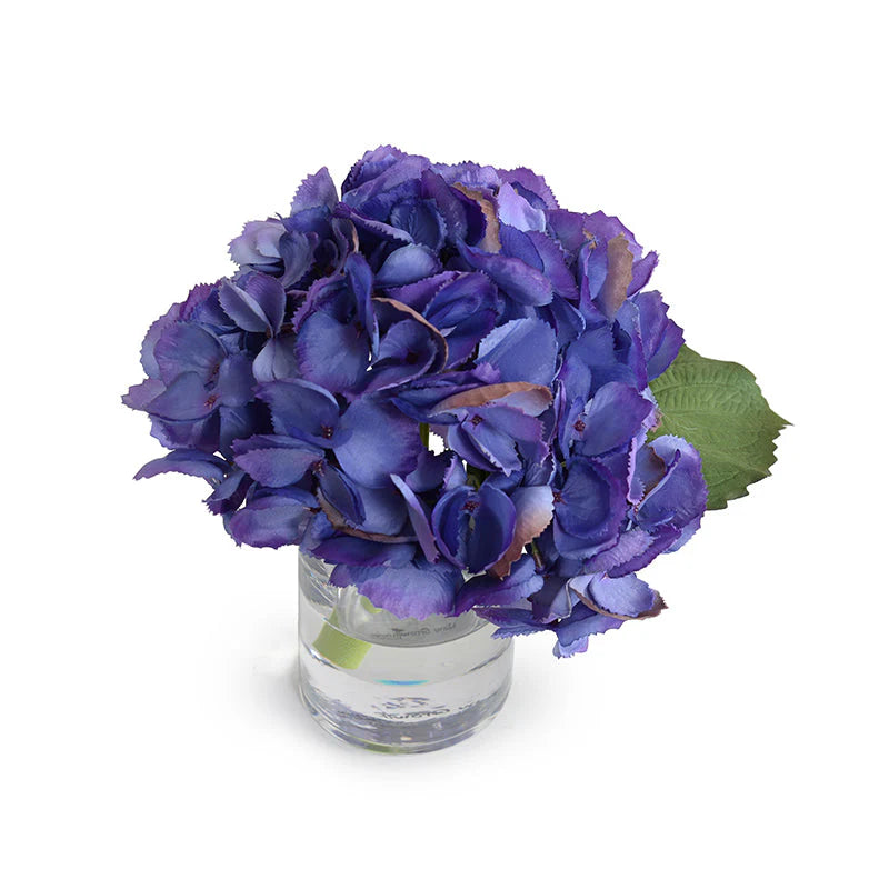 Hydrangea Cutting 8