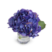 Hydrangea Cutting 8"H