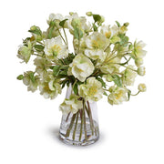 Rose Lenten Hellebore in Glass