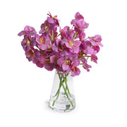 Pink Vanda Orchid Cuttings in Glass, 15"H