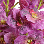 Pink Vanda Orchid Cuttings in Glass, 15"H