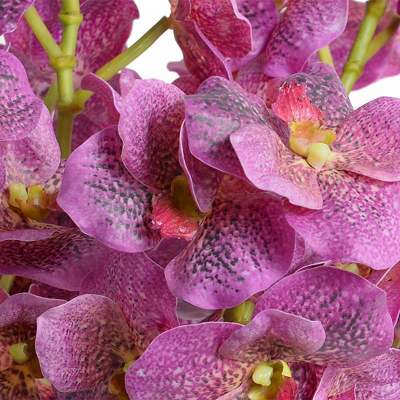 Pink Vanda Orchid Cuttings in Glass, 15"H