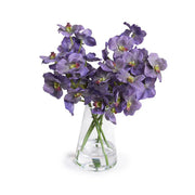 Purple Vanda Orchid Cuttings in Glass, 15"H