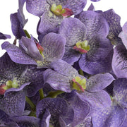 Purple Vanda Orchid Cuttings in Glass, 15"H