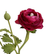 Beauty Ranunculus Mini Pot, Set of 6
