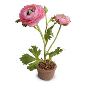 Hot Pink Ranunculus Mini Pot, Set of 6