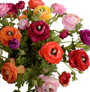 Ranunculus Centerpiece, 17"