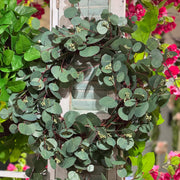 Mixed Seeded Eucalyptus Wreath, 24"