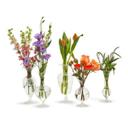 Verre Hand Blown Glass Vases, Set of 4 Asst